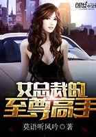 女总裁的至尊高手