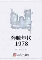奔腾年代1978