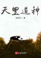 天罡道种