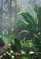 质保一百年