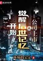 公司上市从觉醒后世记忆开始