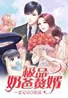 极品奶爸赘婿