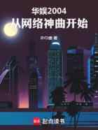 华娱2004：从网络神曲开始