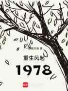 重生风起1978